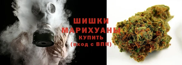 мдпв Магас