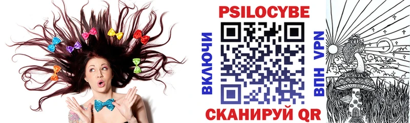 купить  сайты  Каменск-Уральский  Псилоцибиновые грибы прущие грибы 