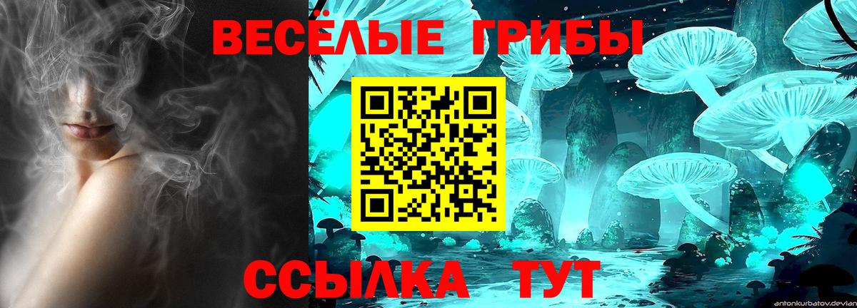наркота  Вход с VPN  Каменск-Уральский  Псилоцибиновые грибы прущие грибы 